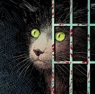 New Comics 12/20/23
