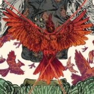 New Comics 10/29/25